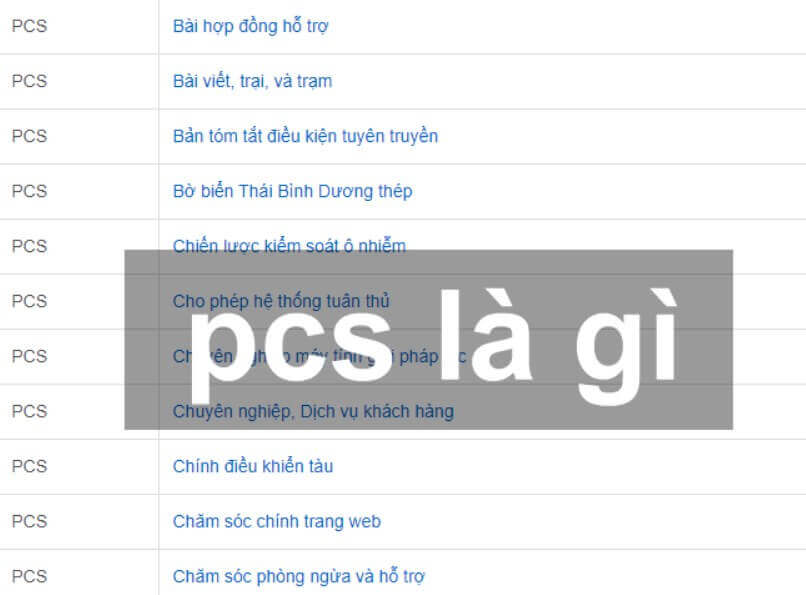 PCS là gì ? Pcs tiếng Anh nghĩa là gì